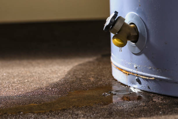Best Carpet water damage restoration  in Judson, SC