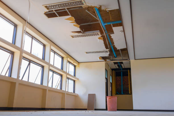 Best Basement water damage restoration  in Judson, SC
