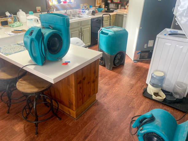 Best Water damage repair service  in Judson, SC