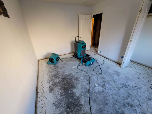 Best Water damage restoration insurance claims  in Judson, SC