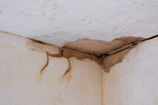 Trusted Judson, SC Water damage restoration Experts