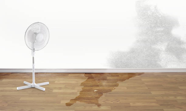 Best Flood restoration services  in Judson, SC
