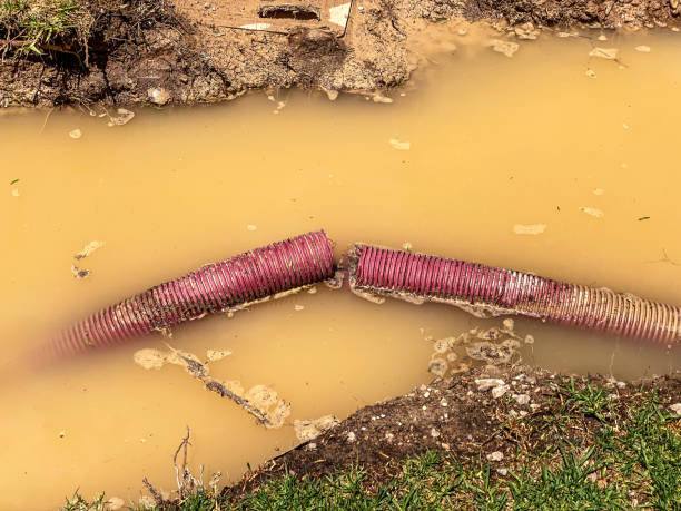Best Residential water damage restoration  in Judson, SC