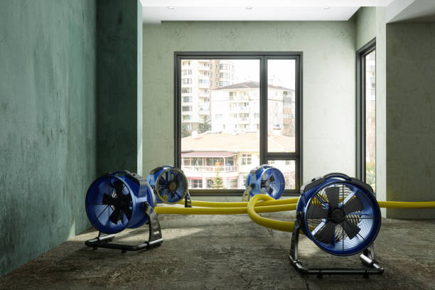Best Ceiling water damage repair  in Judson, SC
