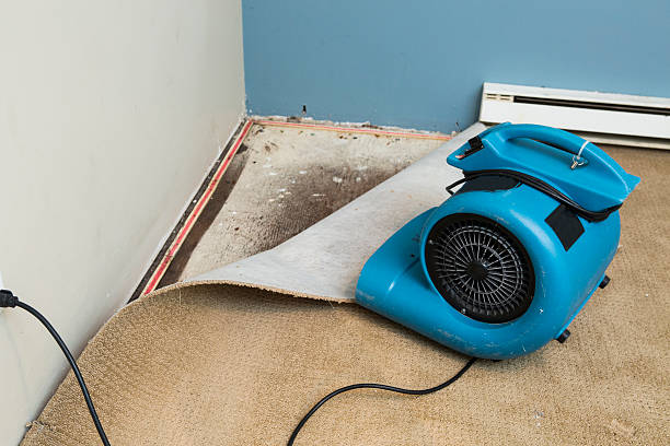 Best Water damage restoration near me  in Judson, SC